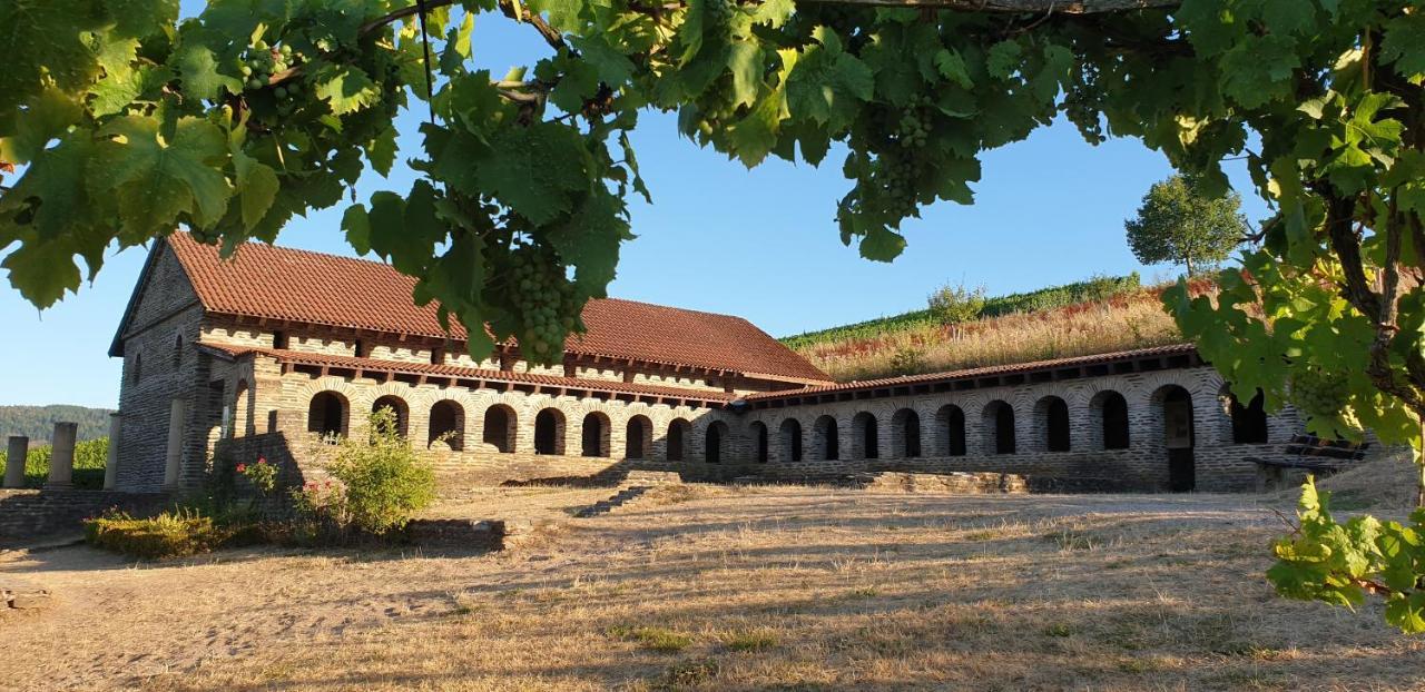 Art Of Living Mosel Apartment Longuich Екстериор снимка